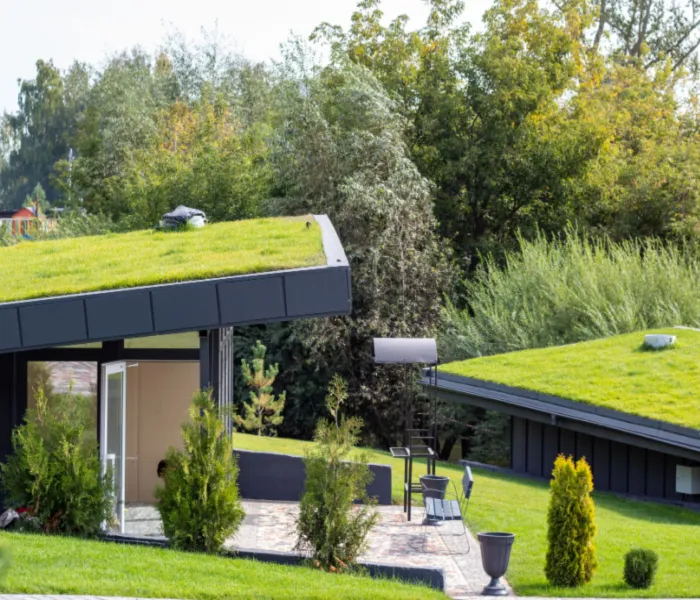 Modern homes with grass-covered roofs, surrounded by green trees and bushes on a bright day. A patio with chairs is visible.