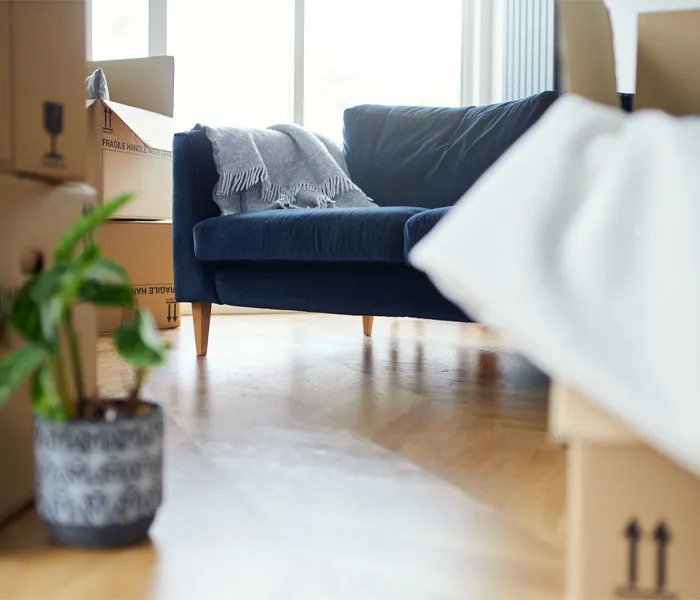 A blue couch with a gray blanket is surrounded by moving boxes in a bright room with a potted plant on the wooden floor.